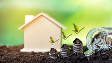 Investor of real estate.  The plants growing on money coin stack for investment home green nature background.  Â Investment mortgage fund finance and interest rate home loan.  Investment Conceptの写真素材