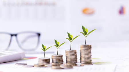 Saving and investment with plant growth statistics accounting info which including of many economic statistics business.  Coin in  Glass bottle for saving and Investment after retirement and elderlyの写真素材