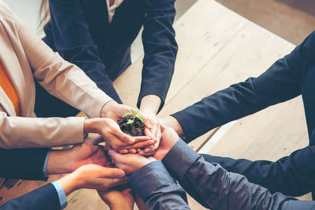 Hands adult business Team Work partnership harmony Cupping young Plant and seeding Nurture grow Environmental and reduce global warming help earth, top view.  Ecology agriculture Conceptの写真素材
