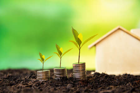 Investor of real estate.  The plants growing on money coin stack for investment home green nature background.  Â Investment mortgage fund finance and interest rate home loan.  Investment Conceptの写真素材