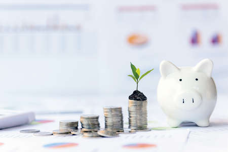 Piggy and the tree  growing on money coin stack for investment and saving with financial report of investor real estate business, city and graph background.  Investment and saving Conceptの写真素材
