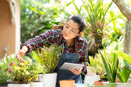 Asian woman care and sale online plant flower in garden. People hobby and freelance gardening indoor at home, nature garden background. Happy and enjoy in spring and summer day.Â  Lifestyle Conceptの写真素材