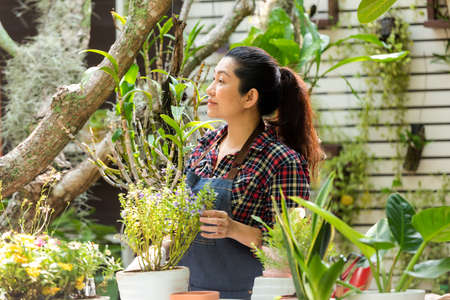 Asian woman care  plant flower in garden. People hobby and freelance gardening indoor at home, nature garden background. Happy and enjoy in spring and summer day.Â  Lifestyle Conceptの写真素材