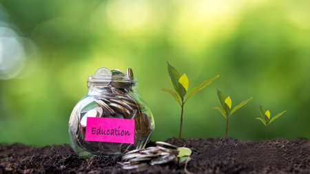 Plant growing in Coins glass jar on dry with education  for together and success.  Saving paper label for money planning future education. Green nature backgroundの写真素材