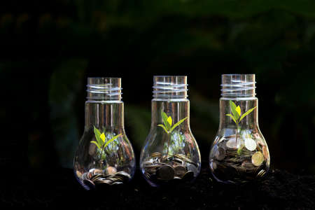 Money saving economy environment.Â  Plants growing in money coins in glass jar for investment...
