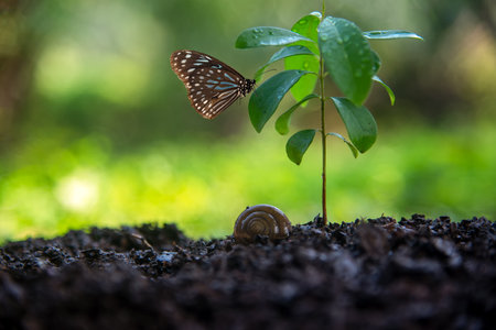 Ecology and Environment Earth.  Planet and tree with butterfly in human hands over green and sky nature ecology, Save the earth conceptの写真素材
