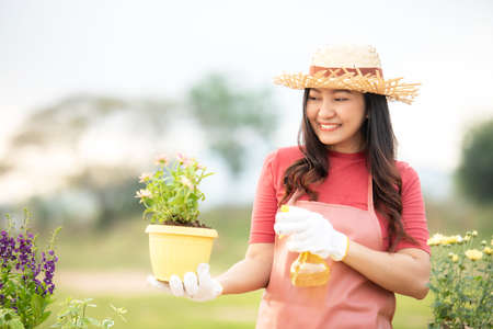 Asian woman care plant flower in garden. People hobby and freelance gardening outdoor sunnyÂ  nature background. Happy and enjoy in spring and summer day.Â  Lifestyle Conceptの写真素材