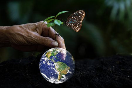 Hand old holding and protecting, sapling plant tree for save earth globe on soil.   World Environment and Save Environment. Earth image provided by Nasaの写真素材