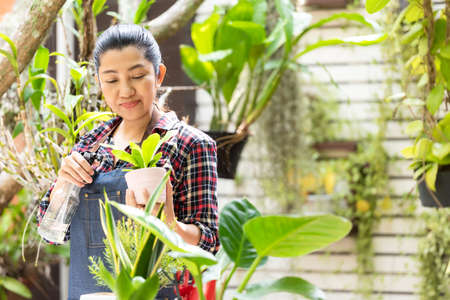 Asian woman care  plant flower in garden. People hobby and freelance gardening indoor at home, nature garden background. Happy and enjoy in spring and summer day.Â  Lifestyle Conceptの写真素材