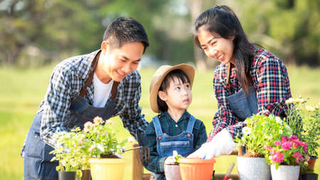 Family child girl helping parent care plant flower in garden. Young people mother, father and daughter gardening outdoor sunnyÂ  nature background. Happy and enjoy in spring and summer day.Â  Family Conceptの写真素材