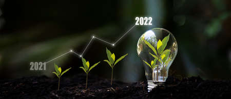 Saving and growth energy and environment.Â  Tree growth compared to year 2021 to 2022 in light bulb for saving Ecology energy nature. Development to success Year 2022の写真素材