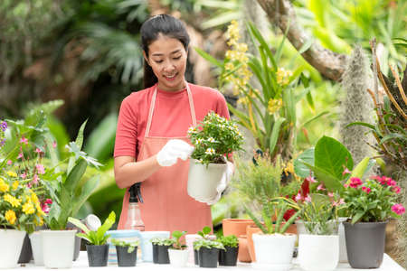 Young asian gardener woman care plant flower in garden. Asia people hobby and freelance gardening indoor at home, nature garden background. Happy and enjoy in spring and summer day. Lifestyle Conceptの写真素材