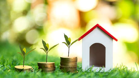 Investor of real estate.  The plants growing on money coin stack for investment home.  Â Investment mortgage fund finance and interest rate home loan,  green nature background Investment Conceptの写真素材