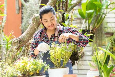 Asian woman care  plant flower in garden. People hobby and freelance gardening indoor at home, nature garden background. Happy and enjoy in spring and summer day.Â  Lifestyle Conceptの写真素材