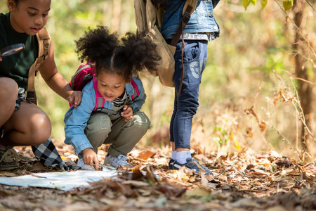 Group family children checking map for explore and find directions in the camping jungle nature and adventure. Tourism kids travel for destination and leisure trips for education and relax in nature park.  Travel Conceptの写真素材
