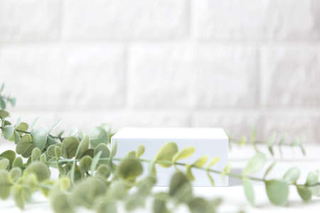 Empty podium or pedestal with chamomile green leaves on a white brick background. Blank shelf product standing for displayの写真素材