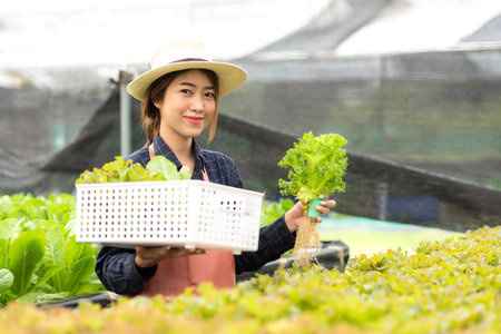 Owner farmer working and care vegetable or nurse growth plants Hydroponic organic in greenhouse.   Asian women gardener in agriculture industry. Hydroponic agricultural system.  Business small conceptの写真素材