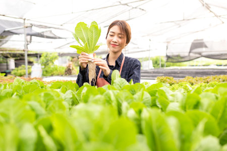 Owner farmer working and care vegetable or nurse growth plants Hydroponic organic in greenhouse.  Asian family women gardener in agriculture industry. Hydroponic agricultural system.  Business small conceptの写真素材