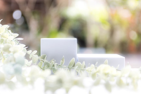 Empty podium or pedestal with chamomile green leaves on a naute green background. Blank shelf product standing for displayの写真素材