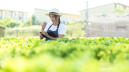 Asian female gardener in agriculture industry.  Women farmer use laptop for working and care vegetable or nursery small plants Hydroponic organic in greenhouse.  Hydroponic agricultural systemの写真素材