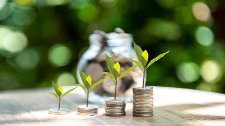 Plant growing in money Coins glass jar on dry with investment  for planning travel and retirement....