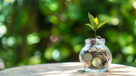 Plant growing in Coins glass jar for investment go to Travel Retire Saving for money planning travel...