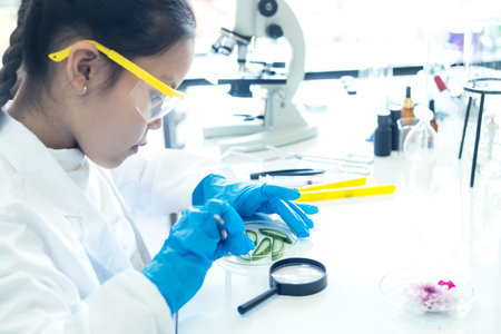 Asian girl leaning and education science lab research Aloe Vera with microscope for Natural...