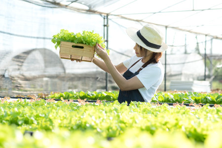 Owner farmer working and care vegetable or nurse growth plants Hydroponic organic in greenhouse.  Asian family women gardener in agriculture industry. Hydroponic agricultural systemの写真素材