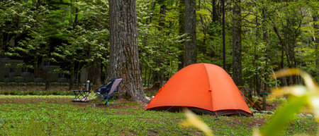 Camping outdoor. Camping leisure and destination travel near green forest and meadow flower on the tents in morning. Tourism relax and chill in summer holidayの写真素材