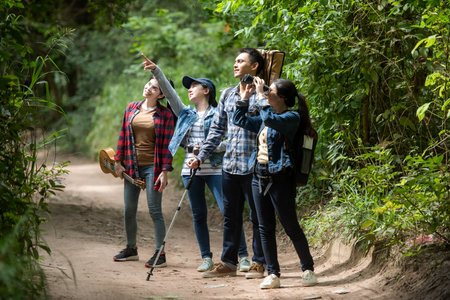 Tourism asian woman travel with backpack adventure holding map to find directions and walking relax in the jungle forest outdoor for destination leisure explore education natureの写真素材