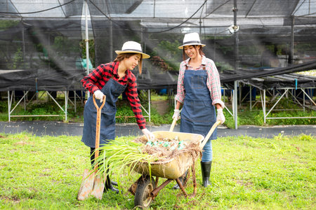 Young farmers women team working together and growing organic vegetables for cooking fresh salad.  Asian two women do gardening for preparing vegetables organic farm in greenhouseの写真素材