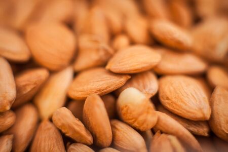 Seeds of apricot, may be used as backgroundの写真素材