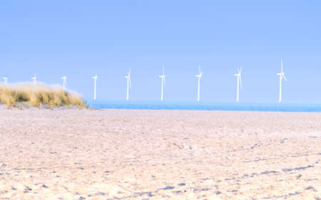 Landscape of a clean modern beach with wind  generators