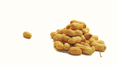 Fresh peanut. In shells isolated on white background.