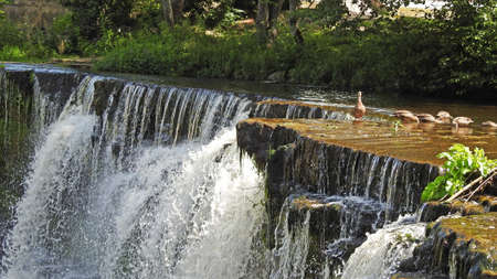 View of beautiful waterfall in Estonian park in summer.の写真素材