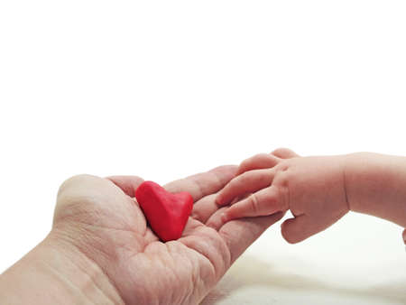 Man's and child hands with red heart on white backgroundの写真素材