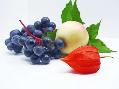 Colorful still life with apple, concord black grapes and physalis flower on white backgroundの写真素材