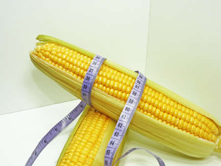 Fresh yellow corn with centimeter isolated on white background.の写真素材