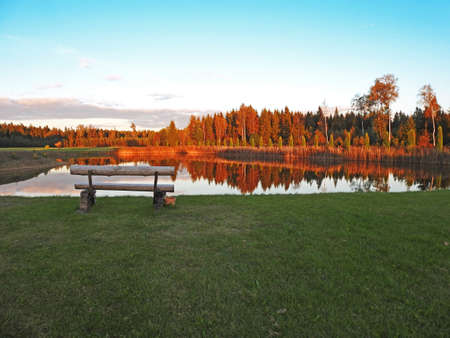 Autumnal tree reflection in the lake water.の写真素材