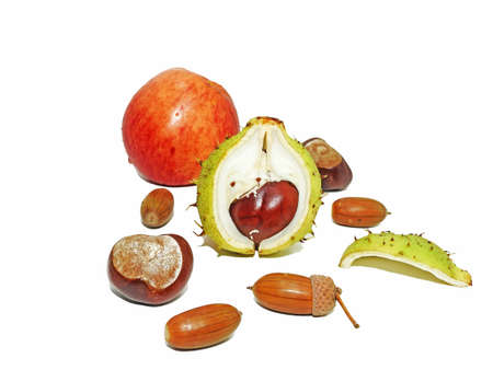 Autumn objects composition isolated on white backgroundの写真素材