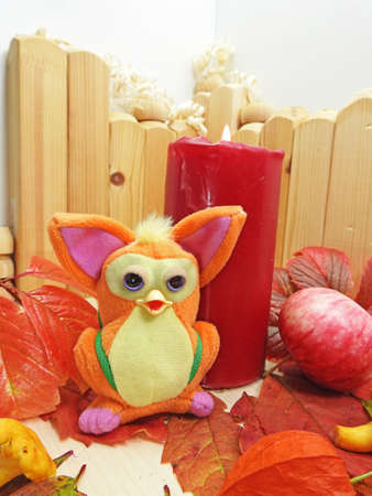 Autumn objects abstract composition on wooden backgroundの写真素材