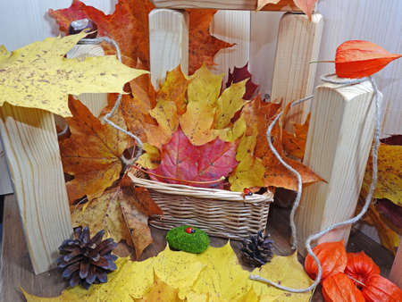 Autumn objects abstract composition on wooden backgroundの写真素材