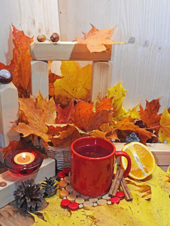 Autumn composition, cup of red tea on a background of autumnの写真素材