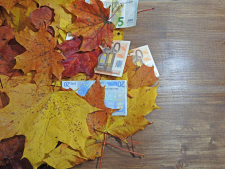 Autumn abstraction with money and maple leavesの写真素材