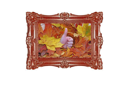 Autumn composition, several maple leaves on wooden background