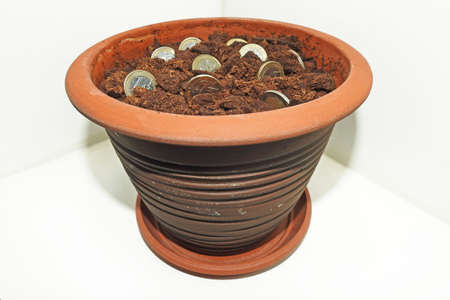 Abstract idea of growing money in ground.の写真素材