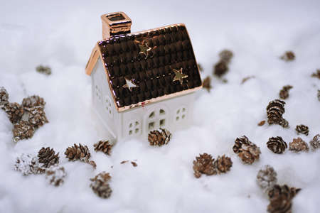 Cones in the snow. Macro photo of small decorative cones with some Christmas components.の写真素材