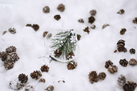 Cones in the snow. Macro photo of small decorative cones with some Christmas components.の写真素材