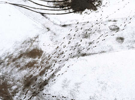 Footprints in the snow.の写真素材