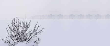 Winter nature photo.の写真素材